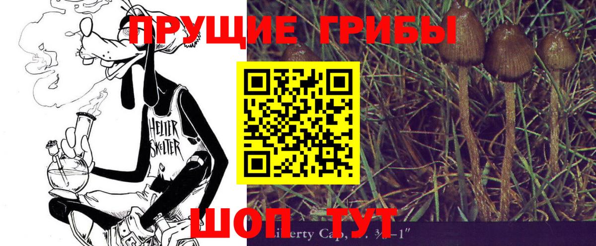 Псилоцибиновые грибы ЛСД Великие Луки